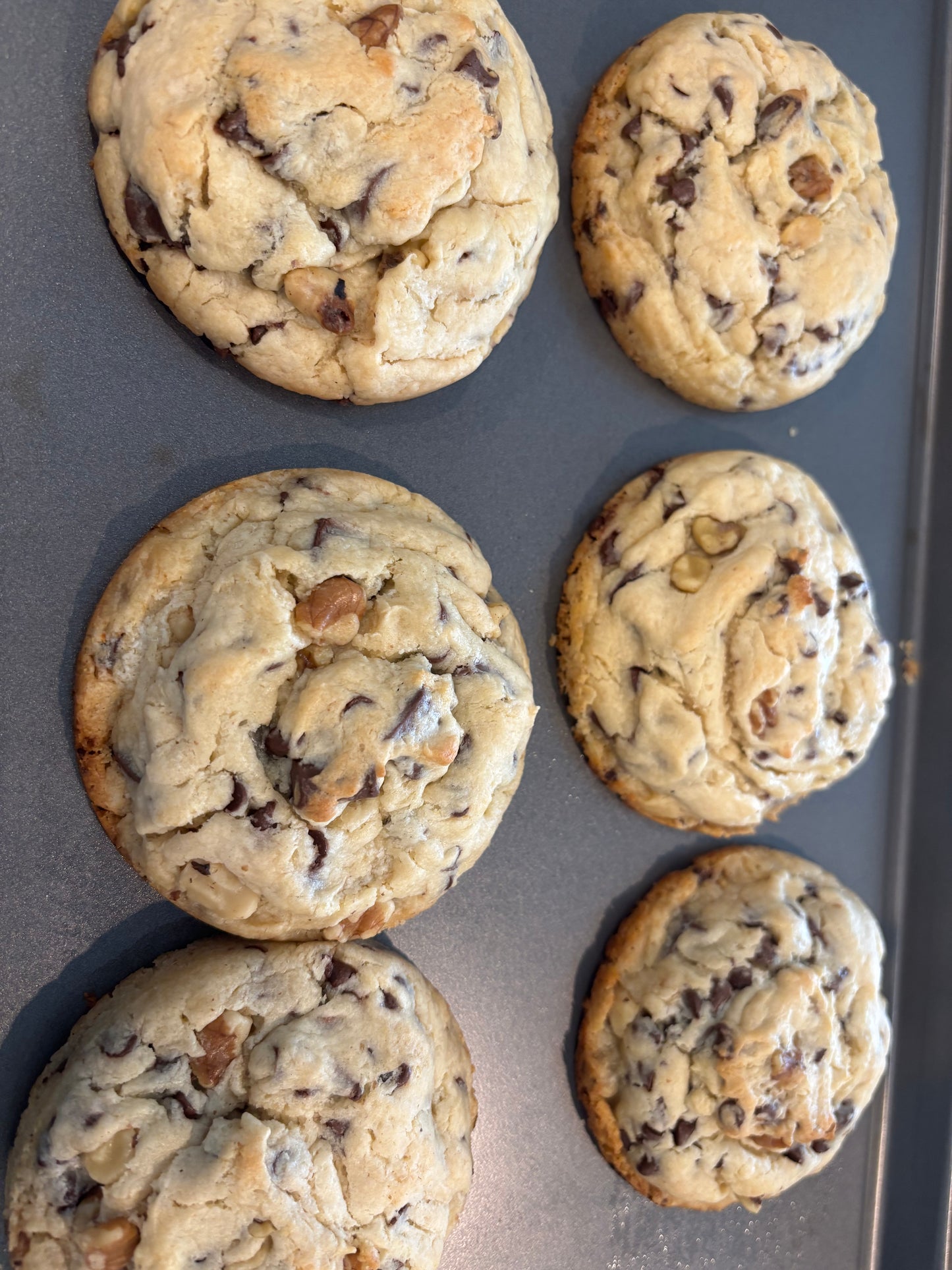 Landie's Gourment Cookies Medium 6 count